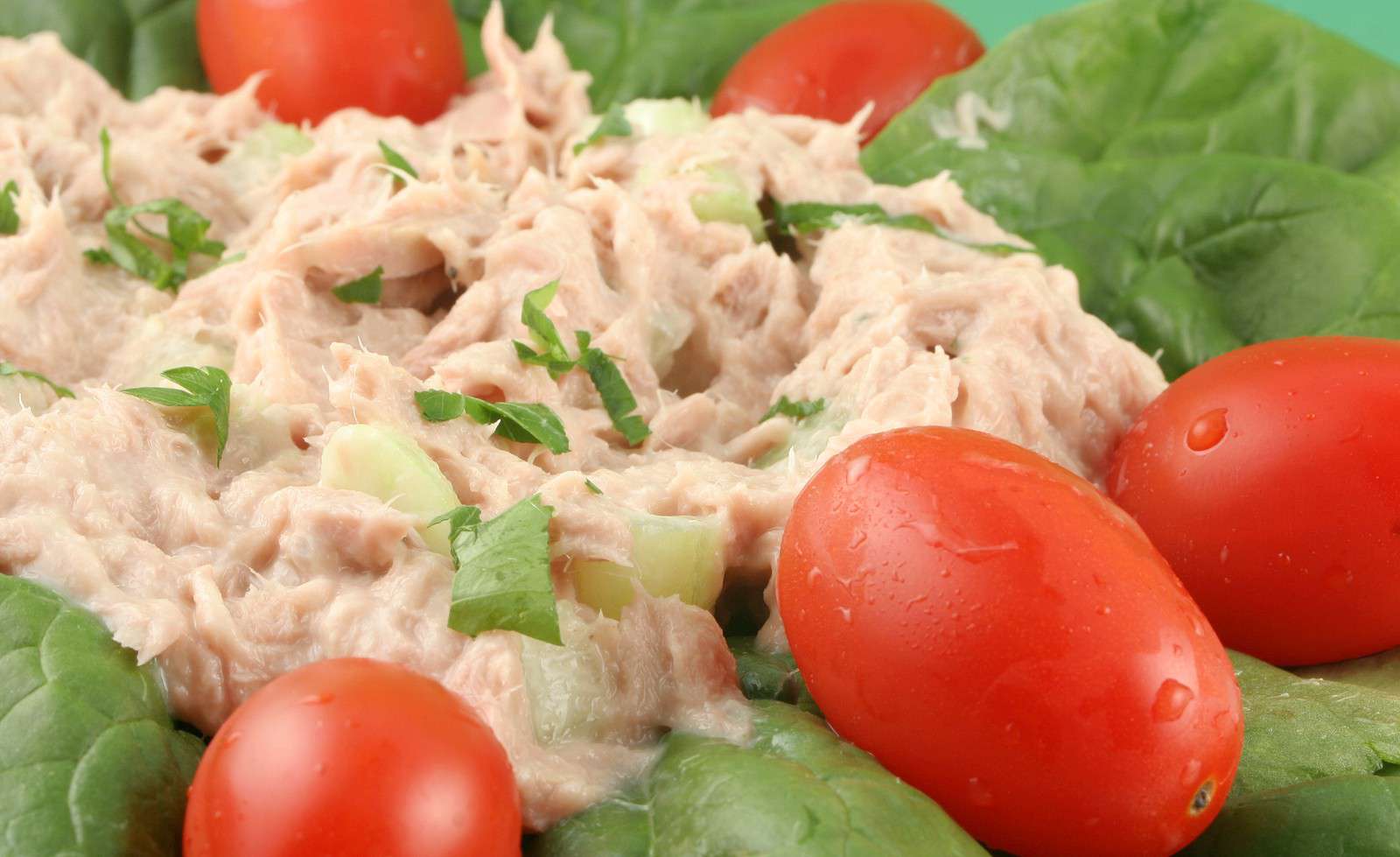 TNT Tuna Salad