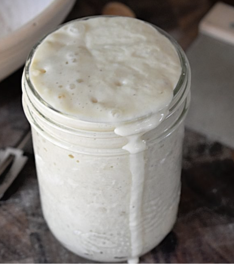 Easy Beginner Sourdough Starter Recipe