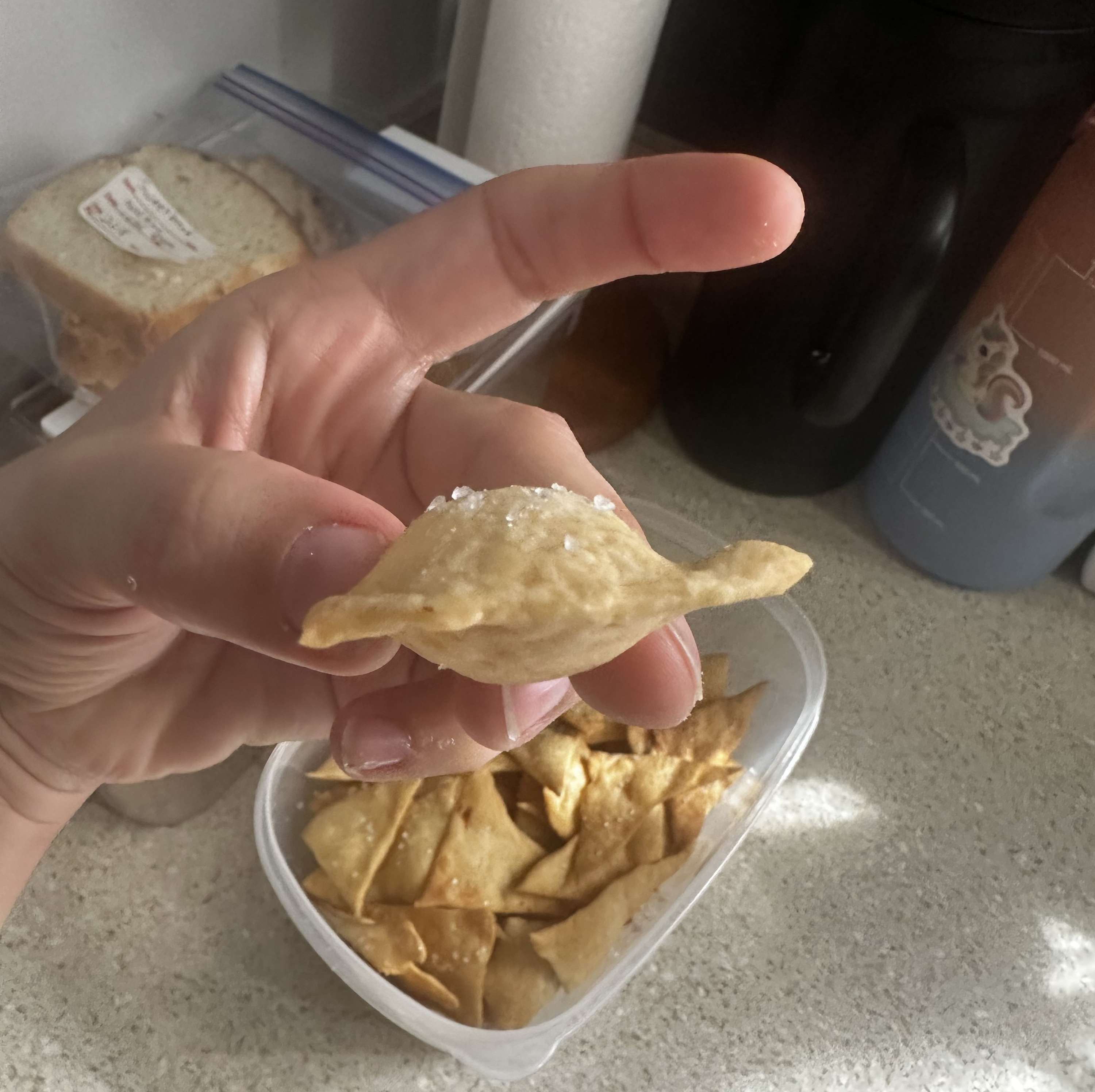 Simple Sourdough Pita Crackers